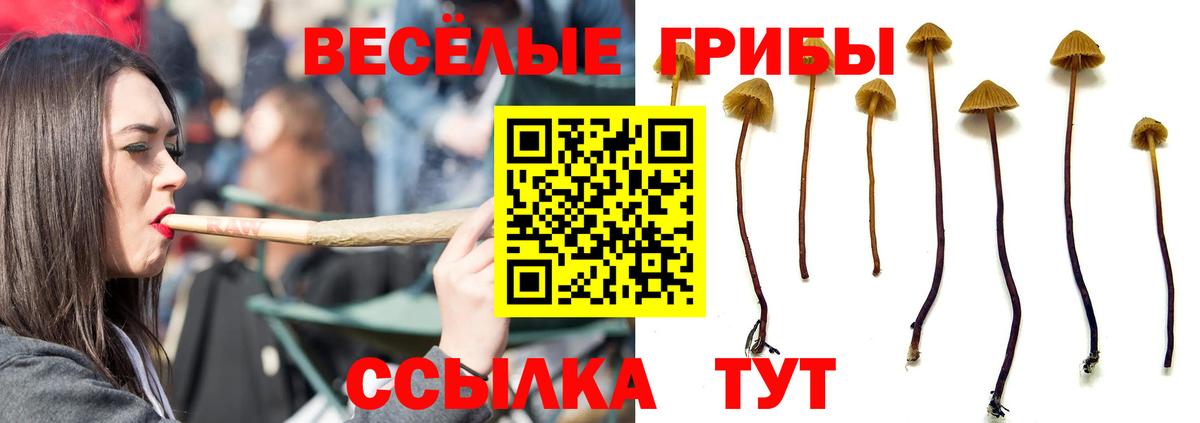 Галлюциногенные грибы MAGIC MUSHROOMS Знаменск